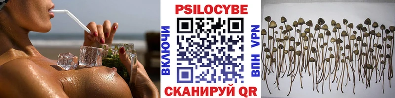 Купить закладки Волжский Галлюциногенные грибы мухоморы